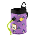 Northern Lights Dog Snack Bag