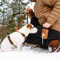 Sea To Summit Dog Leash