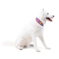Alpha 360 Dog Collar Mauve Mix