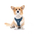 Roam Dog Harness Deep Teal