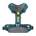 Roam Dog Harness Deep Teal