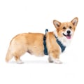 Roam Dog Harness Deep Teal