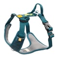 Roam Dog Harness Deep Teal