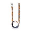 Nightless Night Dog Leash