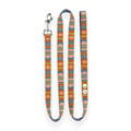 Nightless Night Dog Leash