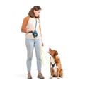 Horizon Dog Harness