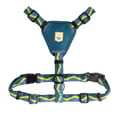 Horizon Dog Harness