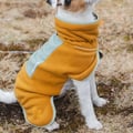 Alpha 360 Dog Fleece Pullover Brown / Glacier Green