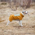 Alpha 360 Dog Fleece Pullover Brown / Glacier Green