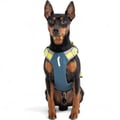 Alpha 360 Dog Harness Deep Teal