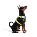 Alpha 360 Dog Harness Deep Teal