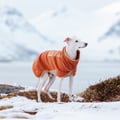 Alpha 360 Dog Fleece Pullover Terracotta / Clay