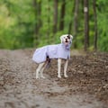 Cloudshell Rain jacket Lavender
