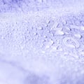 Cloudshell Rain jacket Lavender