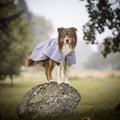 Cloudshell Rain jacket Lavender