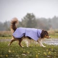 Cloudshell Rain jacket Lavender