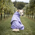 Cloudshell Rain jacket Lavender
