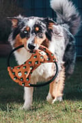 Sea to Summit Squeaky Frisbee