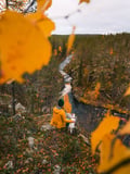 Person in yellow jacket with dog sits on cliff edge, overlooking a river and autumn forest, with orange leaves in foreground.