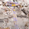 Sunshower Dog Leash