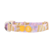 Sunshower Dog Collar