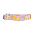 Sunshower Dog Collar