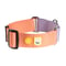 Color Block Martingale Dog Collar Salmon Pink
