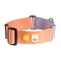 Color Block Martingale Dog Collar Salmon Pink