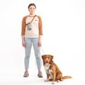 Alpha 360 Dog Harness Glacier Green Mix