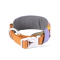 Alpha 360 Dog Collar Lavender