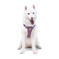 Alpha 360 Dog Harness Mauve Mix