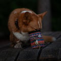 Nightless Night Dog Snack Bag