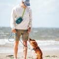 Woolly Wolf hip pack