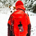 Polar Night Dog Leash