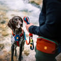 Color Block Multi-Use Dog Leash Lime Mix