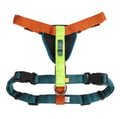 Color Block Dog Harness Lime Mix