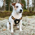 Sea To Summit Dog Harness