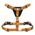 Sea To Summit Dog Harness