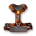 Roam Dog Harness Terracotta