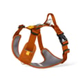 Roam Dog Harness Terracotta