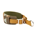Cloudbeam Soft Martingale Collar