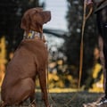 Cloudbeam Soft Martingale Collar