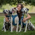 Berci, Indigo & Tony