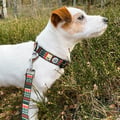 Woodland Dog Leash