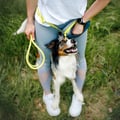 Alpha 360 Hip Pack Deep Teal