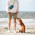 Alpha 360 Hip Pack Deep Teal