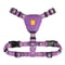 Northern Lights Dog Harness