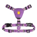 Northern Lights Dog Harness