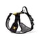 Roam Dog Harness Black Outlet