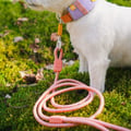 Rope Dog Leash Salmon Pink